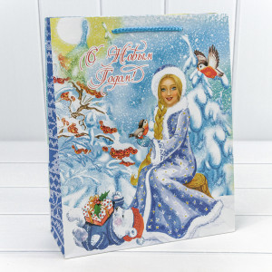 Пакет подарочный    