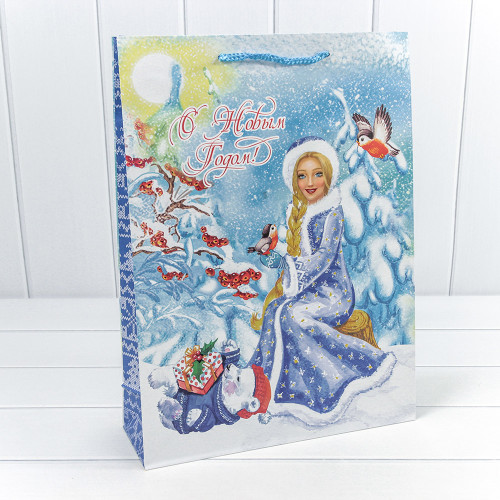 Пакет подарочный