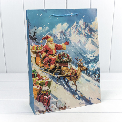 Пакет подарочный