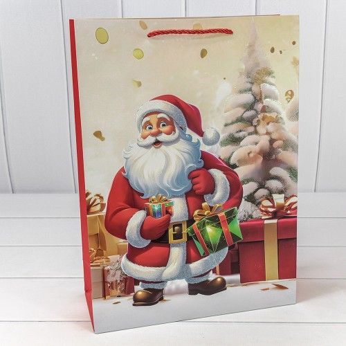 Пакет подарочный