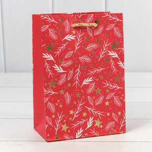 Пакет подарочный  