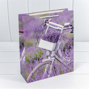 Пакет подарочный    