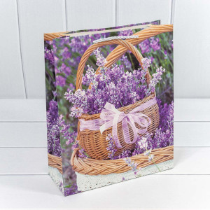 Пакет подарочный    