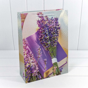 Пакет подарочный      