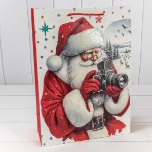 Пакет подарочный    