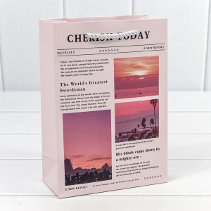 Пакет подарочный  