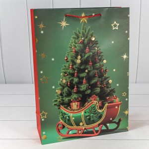 Пакет подарочный    