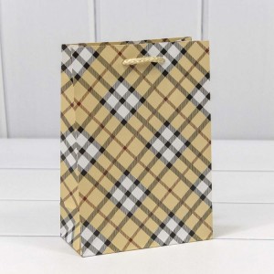 Пакет подарочный 