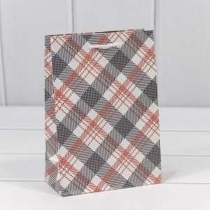 Пакет подарочный 