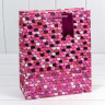 Пакет подарочный Пакет подарочный