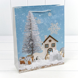 Пакет подарочный       