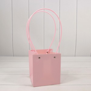 Пакет подарочный     