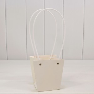 Пакет подарочный 