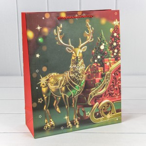 Пакет подарочный   