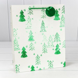 Пакет подарочный     