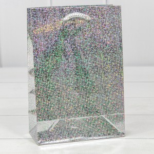 Пакет подарочный