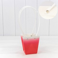 Пакет подарочный    