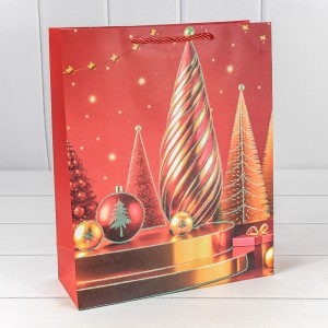 Пакет подарочный    