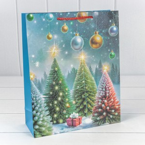 Пакет подарочный    