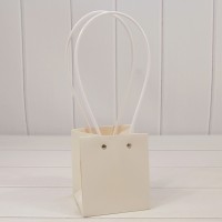 Пакет подарочный      