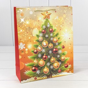 Пакет подарочный    