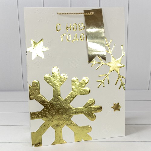 Пакет подарочный