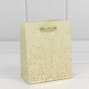 Пакет подарочный