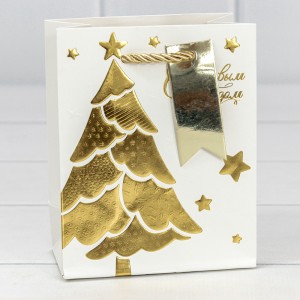 Пакет подарочный     